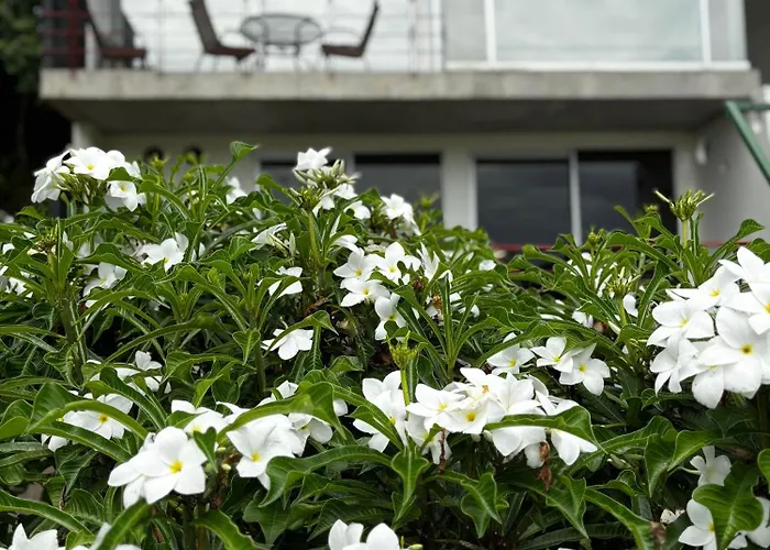 Holiday home Dahlia Penthouse Getaway, Stunning Views! *